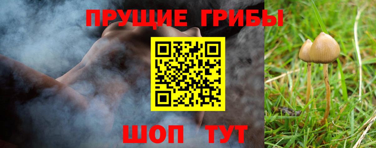 Галлюциногенные грибы мицелий Владивосток