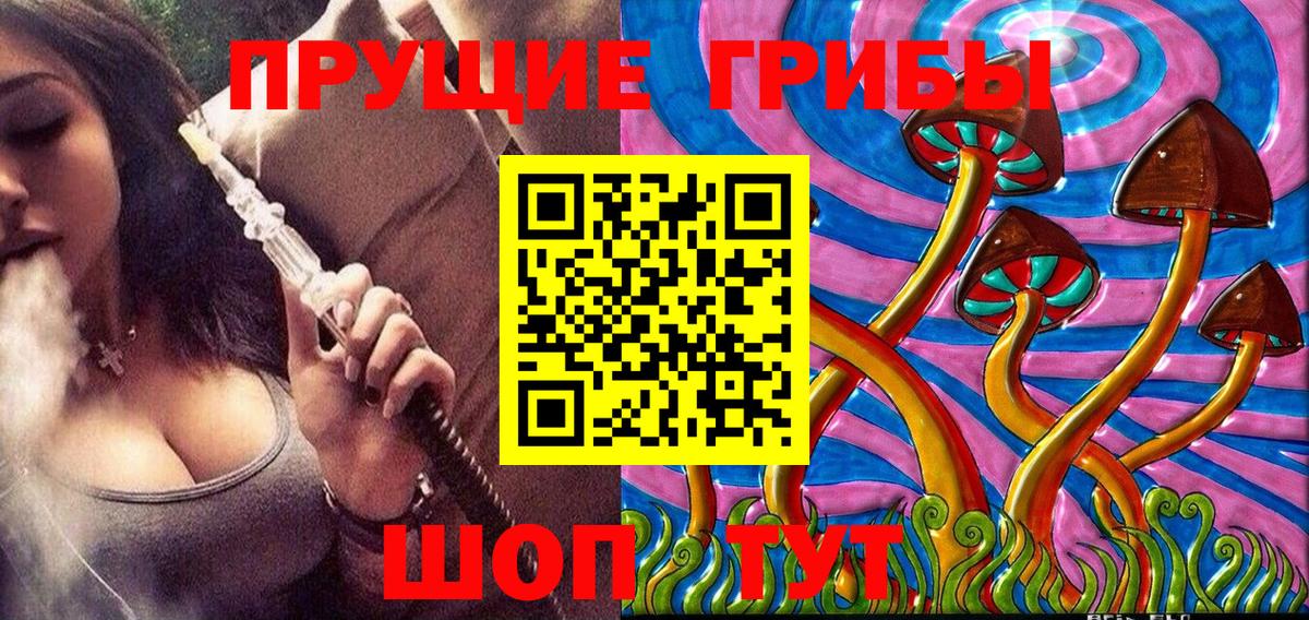 Владивосток  Псилоцибиновые грибы Psilocybe  Псилоцибиновые грибы ЛСД  Вход с VPN 